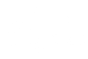 AmishEleganceWhiteLogo