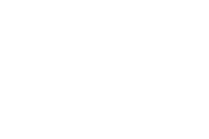 BM-Logo-White