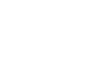 TWUCitizenWebLogo2