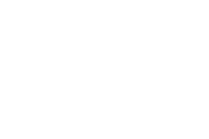 Aurora Gallery